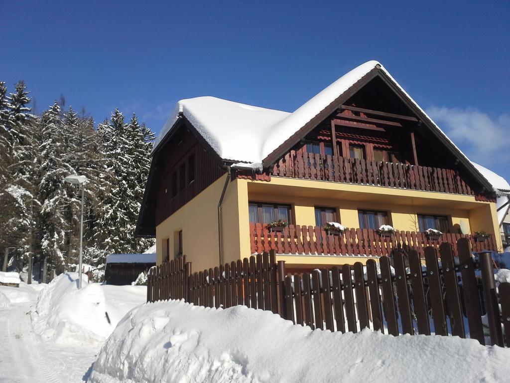 Apartmany U Jirousu Rokytnice nad Jizerou Exterior photo